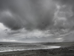 nothing for the sea 17