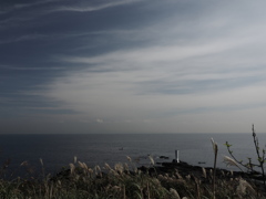 nothing for the sea 8