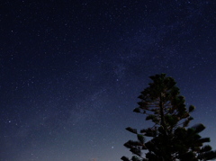 starlight for nowhere 2