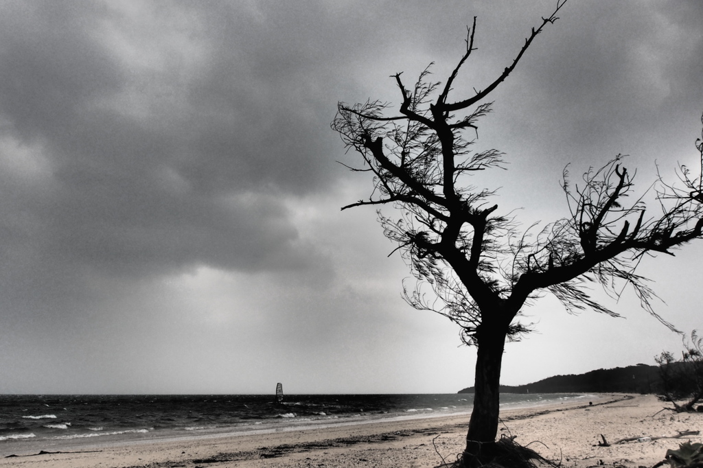 nothing for the sea 18