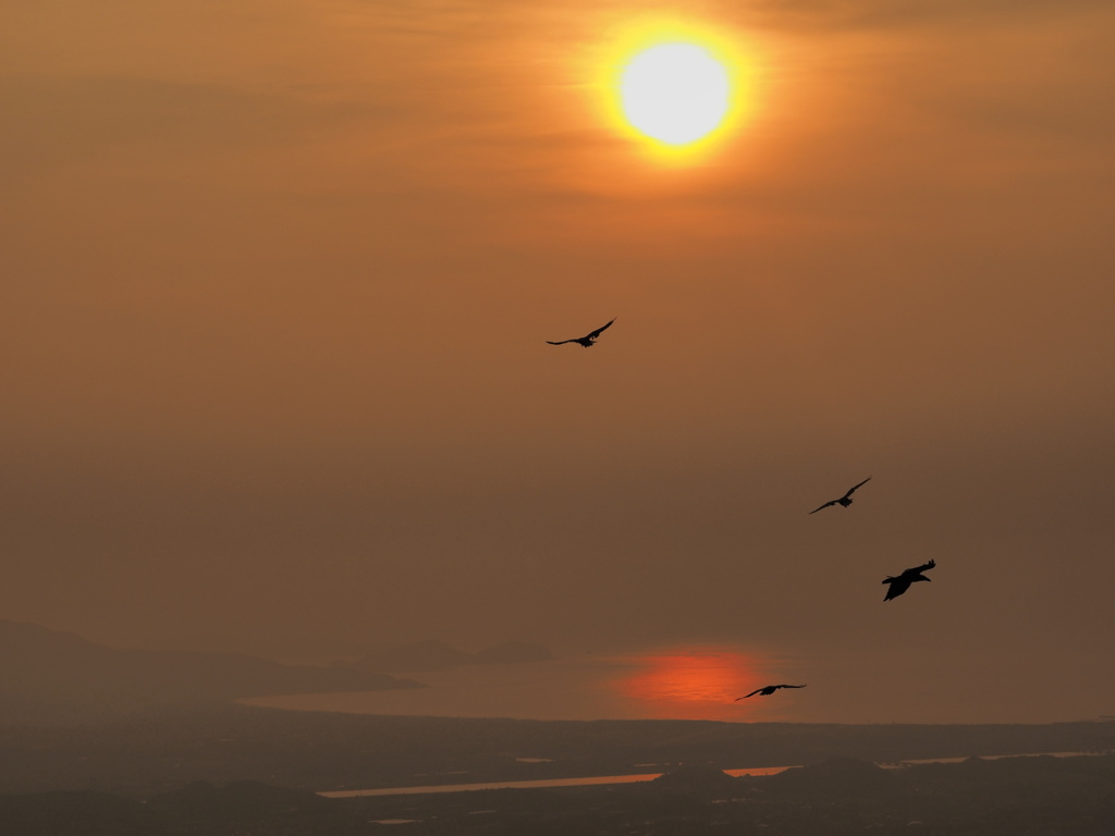 homeward journey