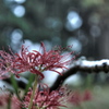 rainfall in fall 2