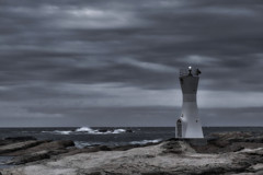 solitary south shore