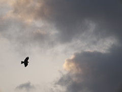 air