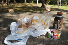 my lunch