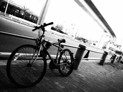 in the monotone memories 2