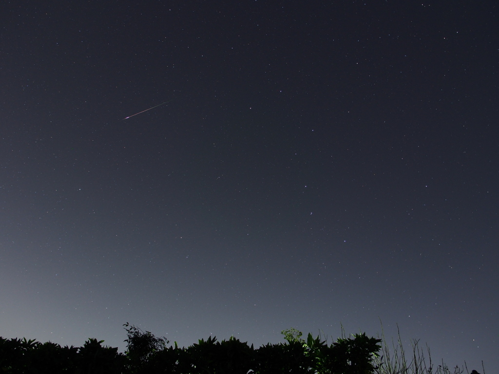 a shootingstar '14.12.23