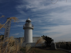 solitary south shore 4