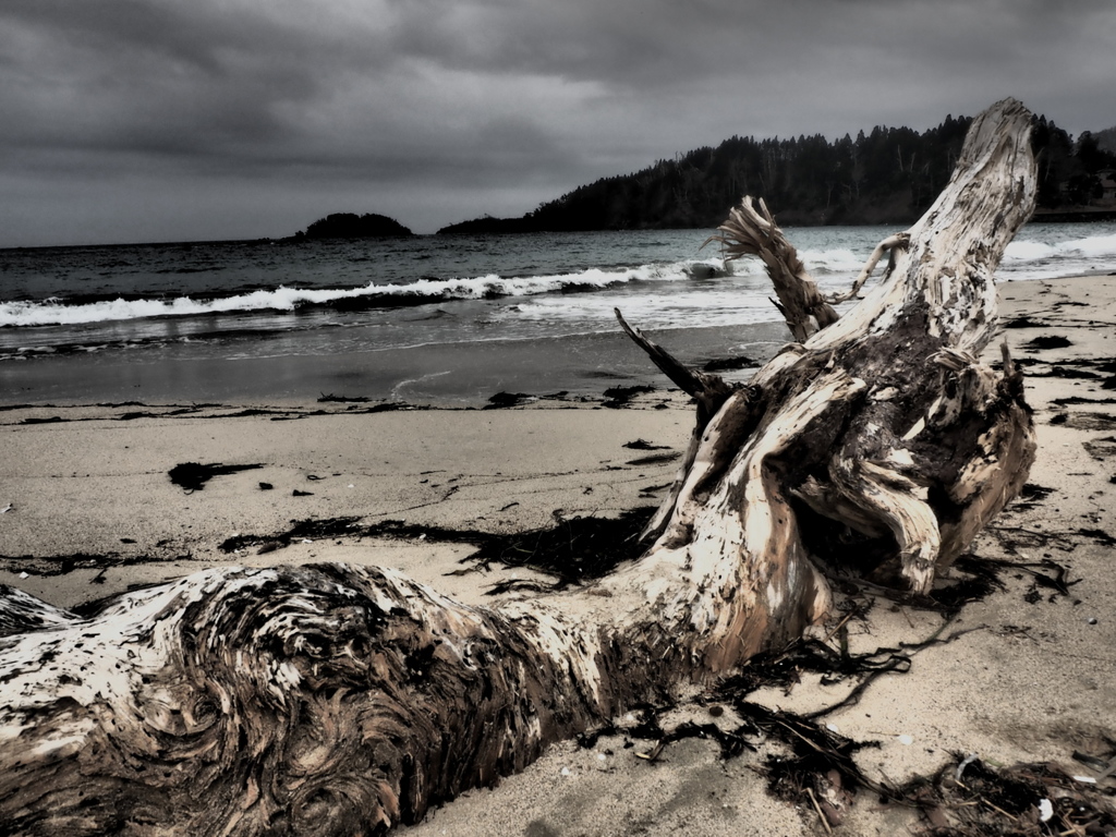nothing for the sea 13