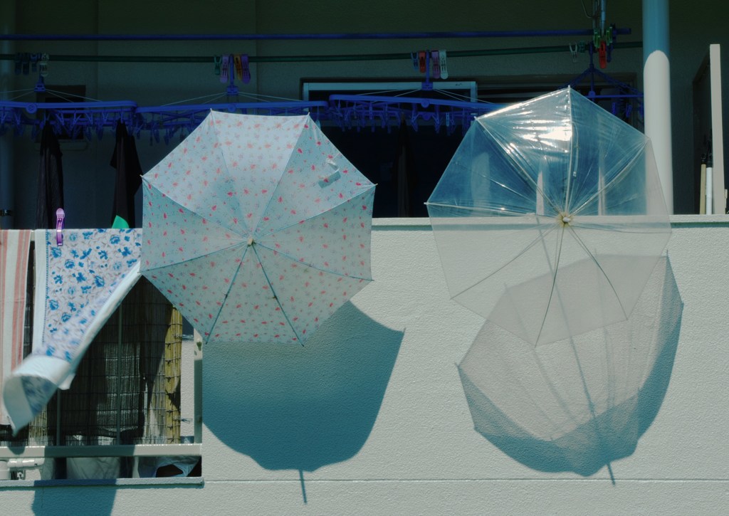 雨上がり