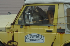 CAMEL
