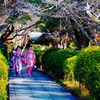 kimonos