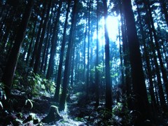 大雲取越2