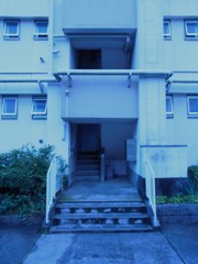 入口