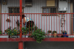 水やり