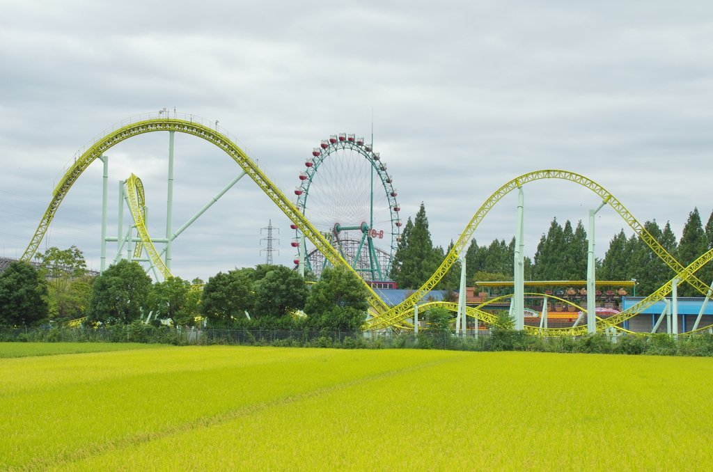 遊園地