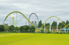 遊園地