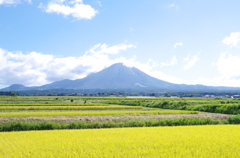 大山