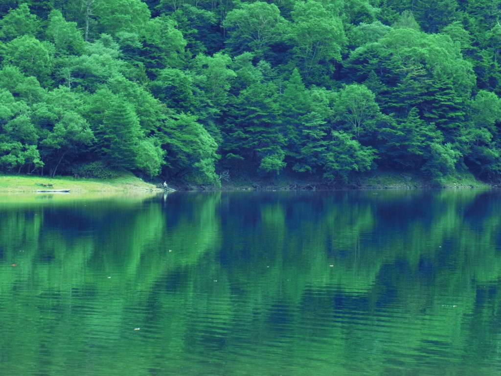 刈り込み湖