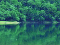 刈り込み湖