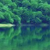 刈り込み湖