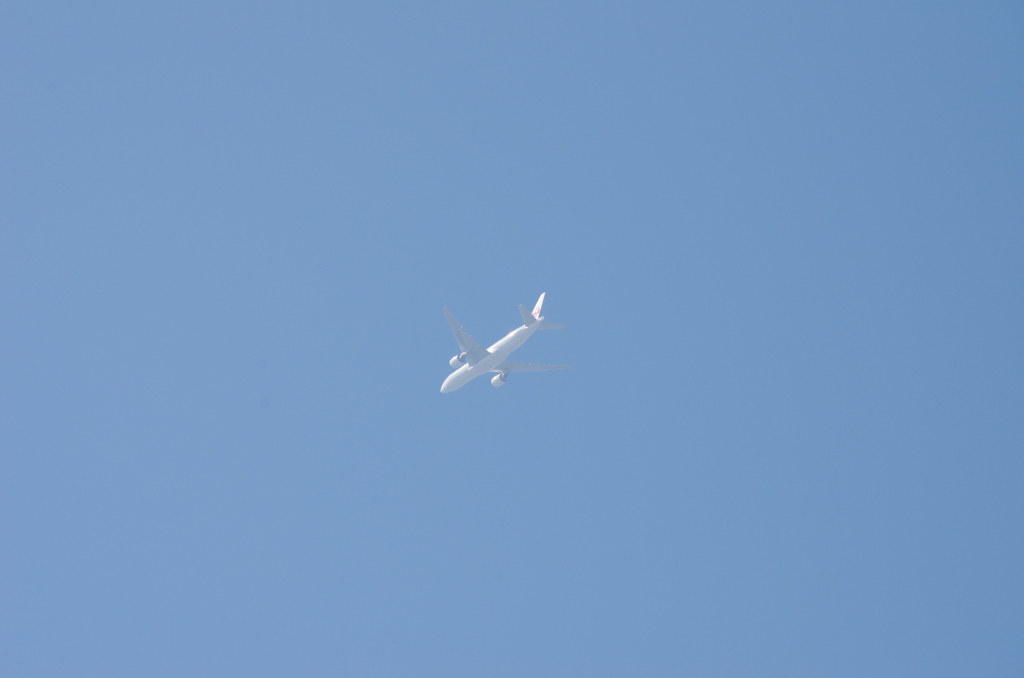 飛行機