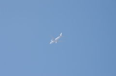 飛行機