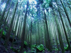 大雲取越