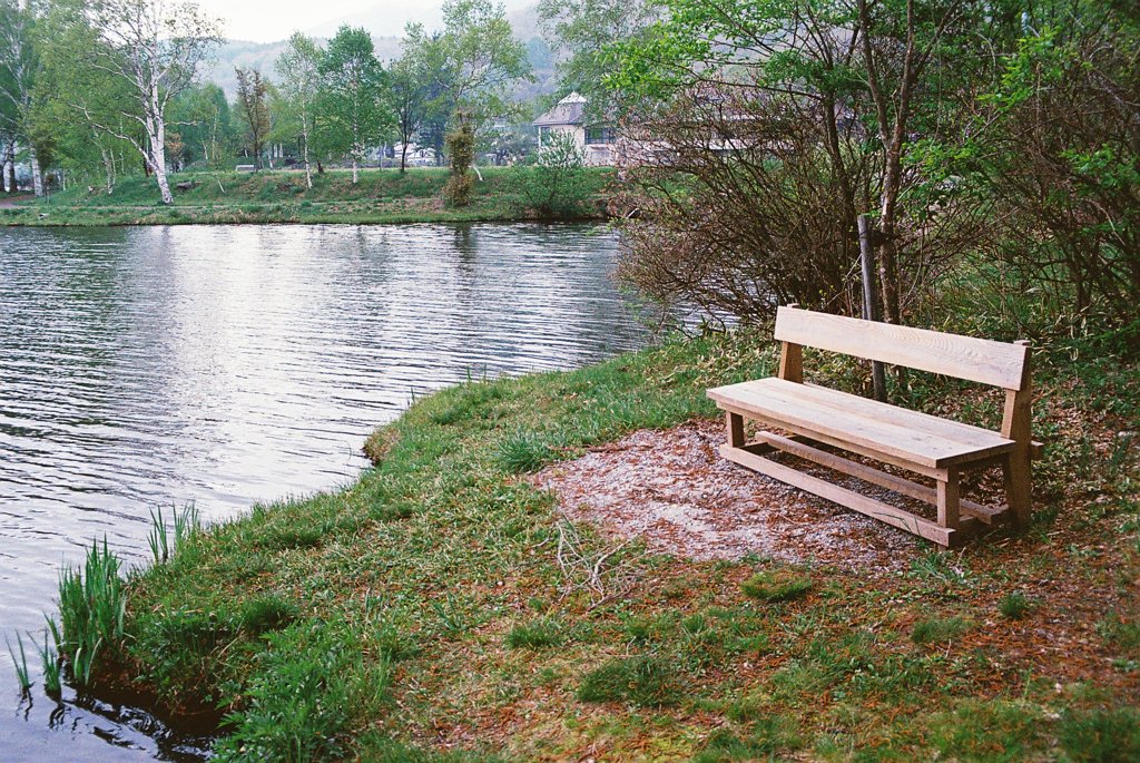 湖辺のベンチ