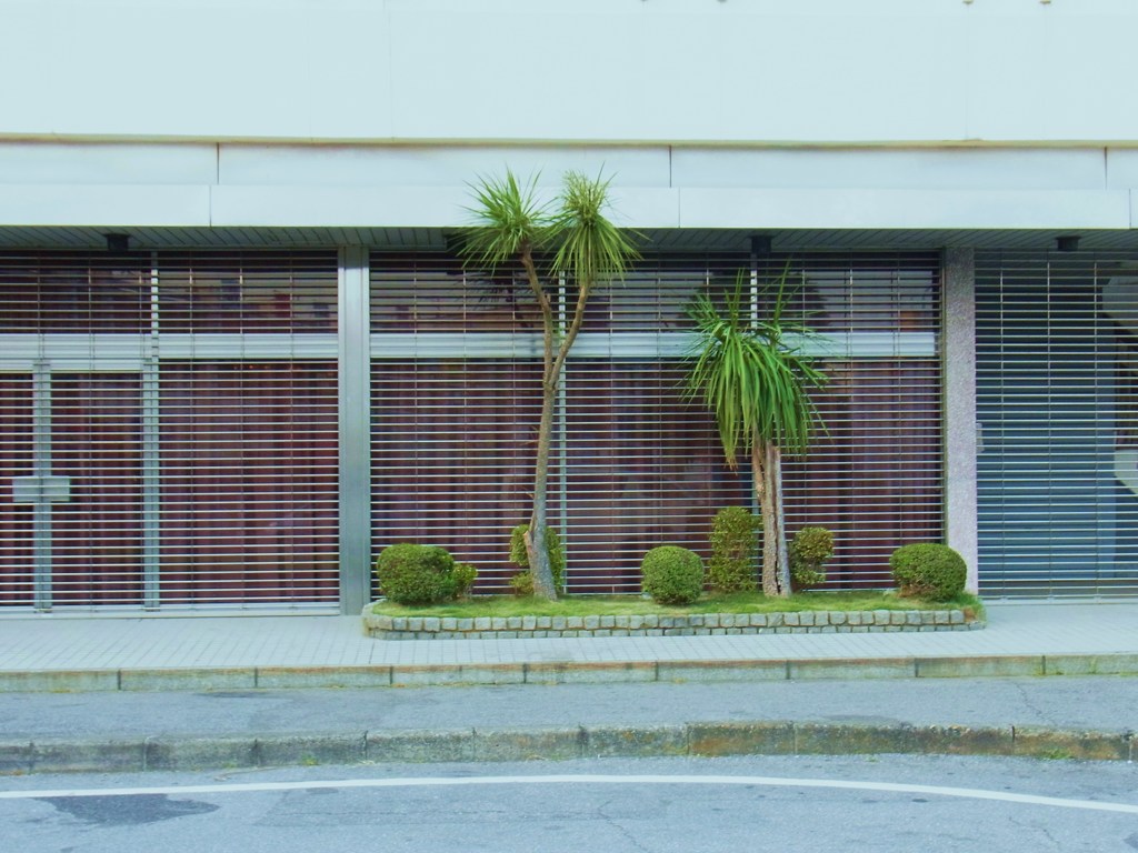 ビル前の植物
