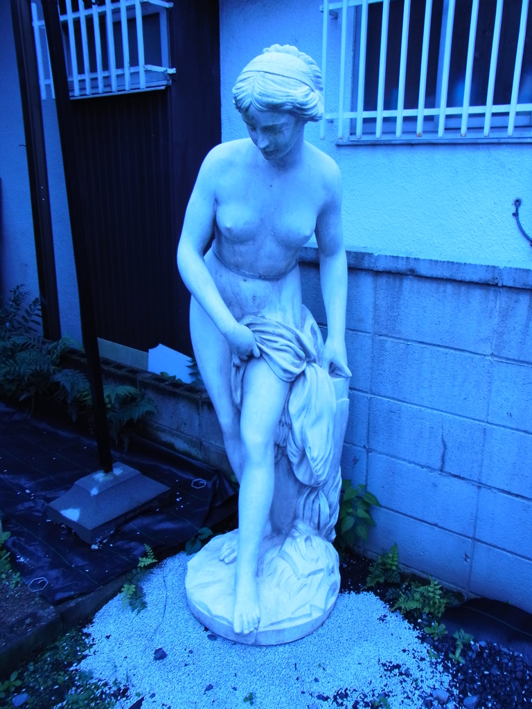 捨てられたヴィーナス像