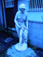捨てられたヴィーナス像