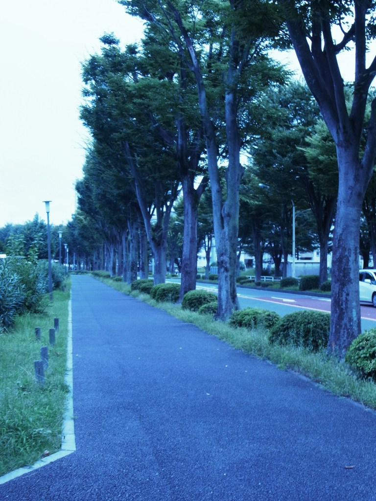 pavement