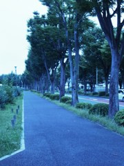 pavement
