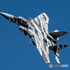 JASDF/TFTG/F15DJ
