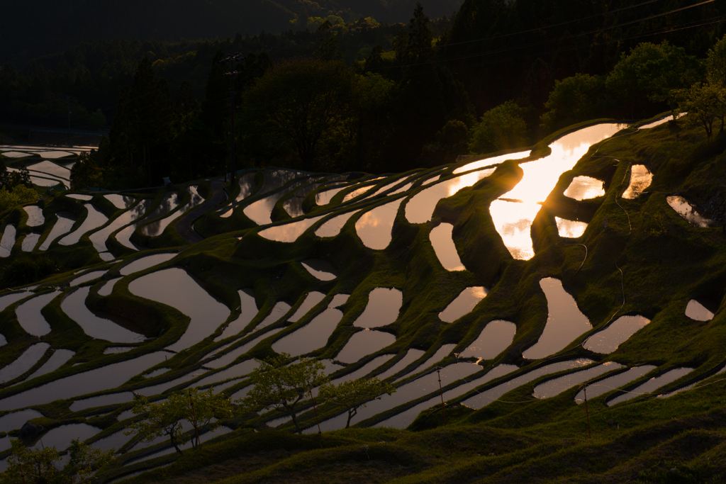 丸山千枚田