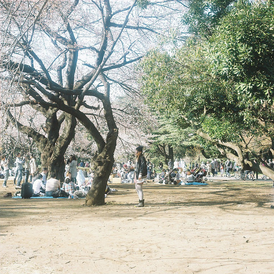 Stillness of the crowd
