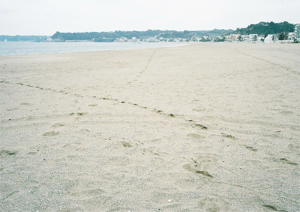 海のち砂浜