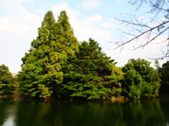 P9060253