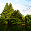 P9060253
