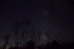 静夜に輝く