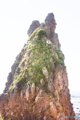 トトロ岩