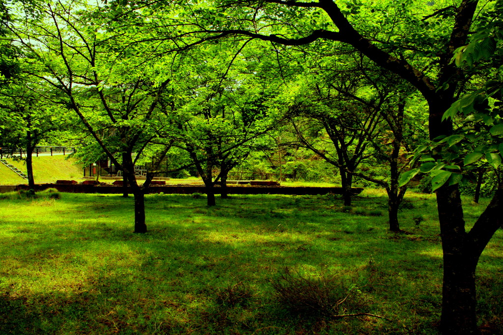 神子畑選鉱場　０００８