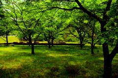 神子畑選鉱場　０００８