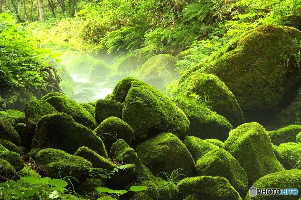 木谷沢渓流　