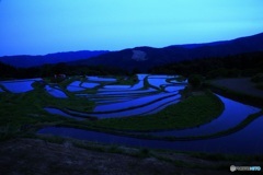 別宮の棚田　（ダークブルー・ファーム)