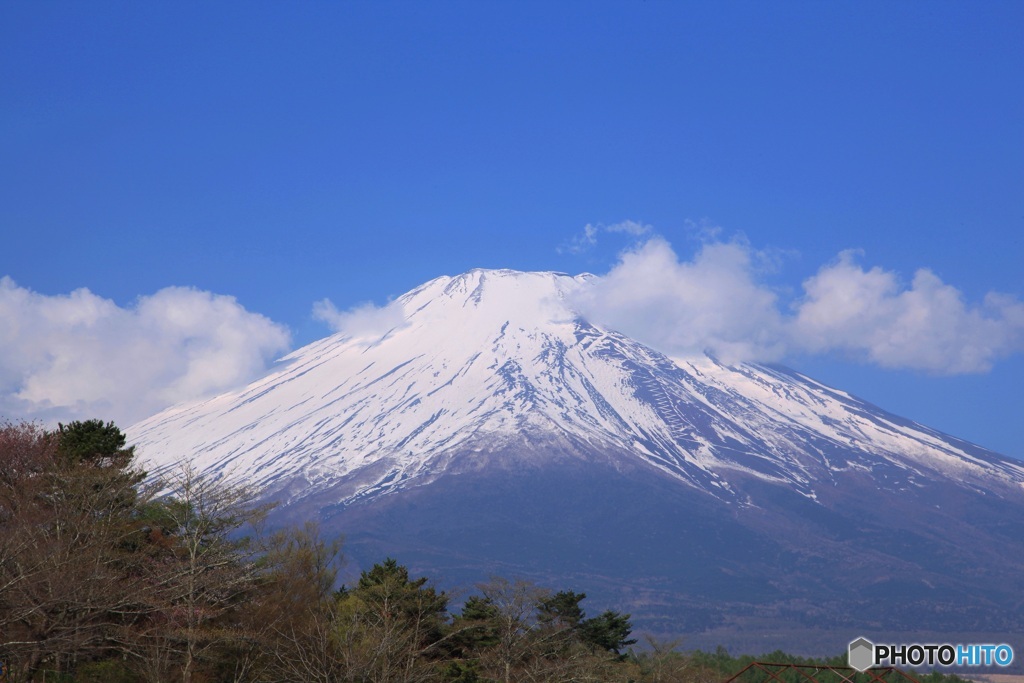 山中湖レストセンターから