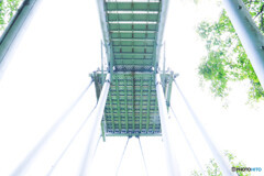 サムハラ神社の展望台