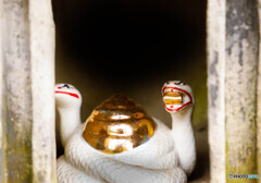 巳年