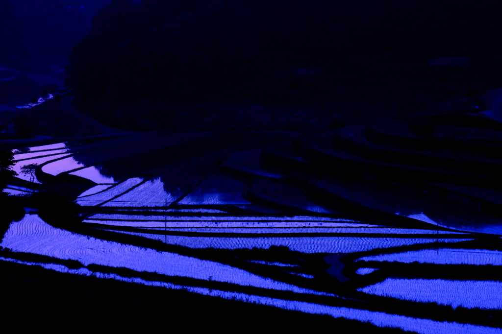 大垪和西の棚田